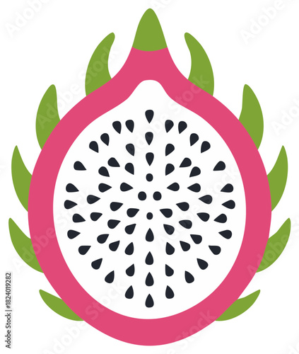 Vibrant Pink Dragon Fruit Half Minimalist Vector Illustration