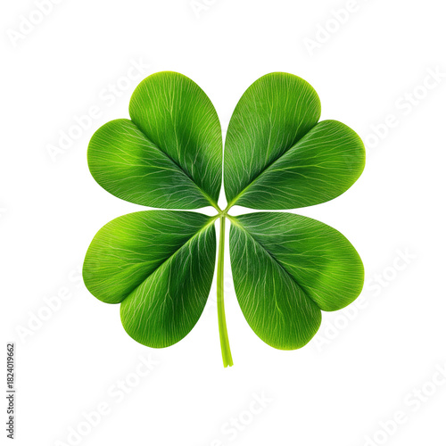 Four-leaf clover on a black background