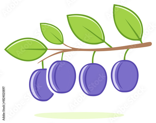 Branch of ripe plums with green leaves, isolated on white, vector illustration.