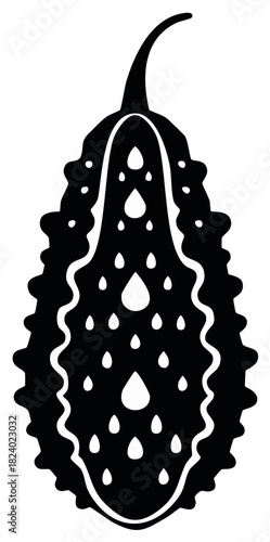 Exotic bumpy bitter gourd fruit silhouette with abstract seed pattern inside vector art