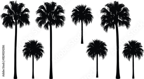 Palm tree silhouettes, tropical botanical illustration, black nature vector, exotic plant shapes, minimalist graphic design, landscape decor elements