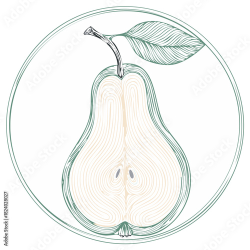 Engraving style botanical illustration of a pear cross section with seeds and leaf in a circular frame