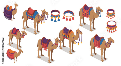 Decorative arabian camels in colorful saddles and harnesses