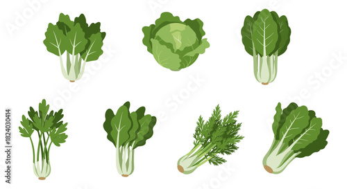 Set of fresh green vegetables isolated on white background