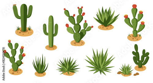 Lush isometric cactus collection featuring various succulent plants
