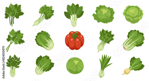 Fresh vegetables collection featuring cabbage, pepper, and onion in flat style