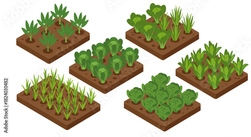 Isometric garden with various vegetables in raised beds for sustainable agriculture