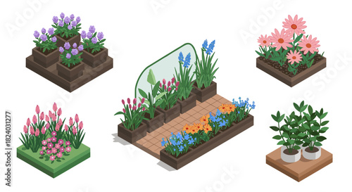 Isometric garden arrangements with colorful flowers in planters