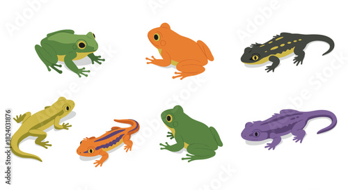 Colorful amphibians set featuring frogs and salamanders in flat design
