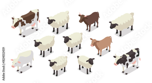 Isometric farm animals: cows and sheep collection on white background