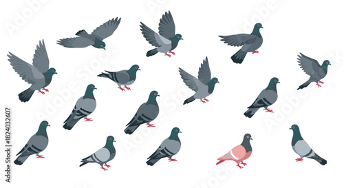 Diverse pigeon flock in flat style with various poses