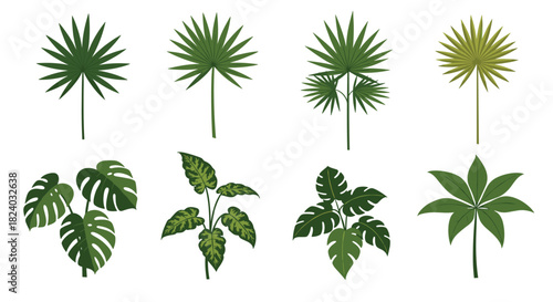 Assorted tropical leaves set featuring palms and monstera in flat design style