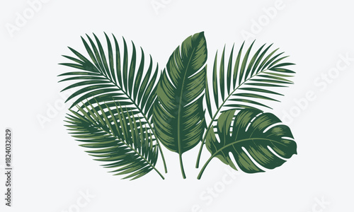 Palm tree leaves isolated on white background vector illustration