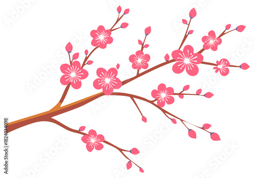 Decorative blossoming plum tree branch with pink flowers and buds illustration on the white background.