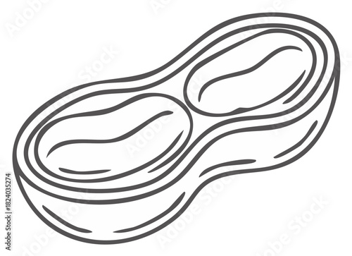 Hand-drawn Outline of Peanut with Two Kernels, Vector Illustration for Healthy Food Designs