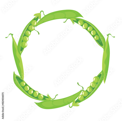 Frame of pea pods. Flat vector clipart illustration with isolated background.