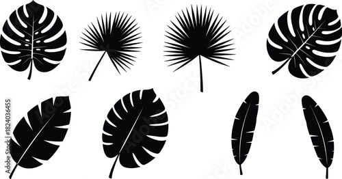 Tropical leaf silhouettes, botanical vector design, black foliage shapes, nature-inspired graphic elements, exotic plant illustration, minimalist decor asset