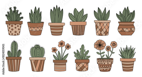 Assorted Potted Succulents and Cacti Illustration.