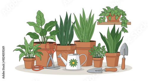 Indoor Plant Collection with Gardening Tools Illustration.