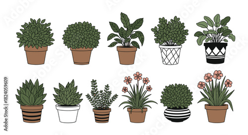 Collection of Potted Plants in Various Styles.