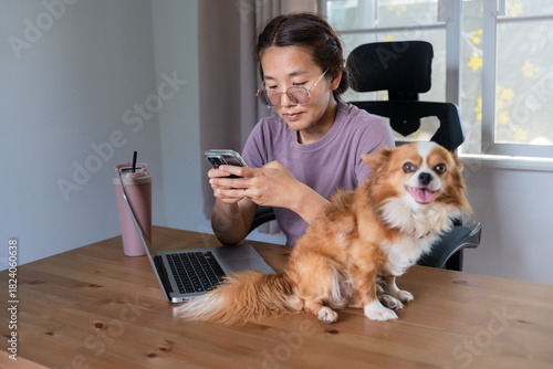 Asian woman using smartphone and laptop for multitasking work at home with Chihuahua dog sitting on desk