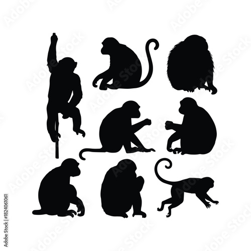 Primate Silhouette Vector Set