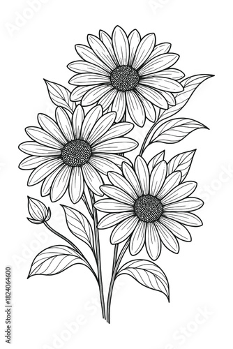 Elegant botanical-style black and white vector illustration of daisy flowers, crafted in a clean line-art aesthetic for nature-themed design, decor, logos, and graphic projects.