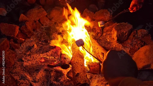 Campfire and Marshmallows
