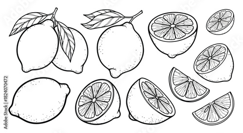 Fresh citrus fruit lemons and slices