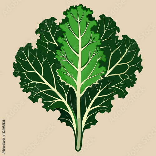Fresh green kale leaves vegetable bunch