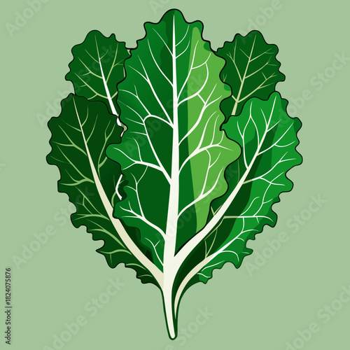 Fresh green leafy vegetable bunch