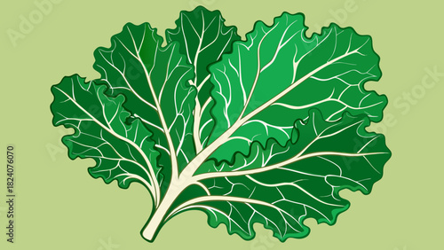Fresh green leafy vegetable illustration