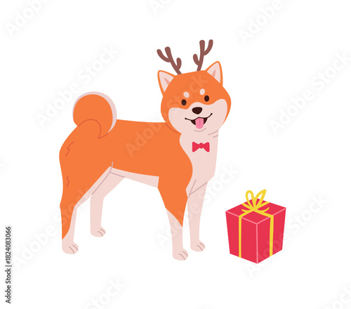 Shiba Inu dog wearing reindeer antlers and a red bow with a holiday gift box. Happy Christmas dog vector on white background for greeting cards and festive designs