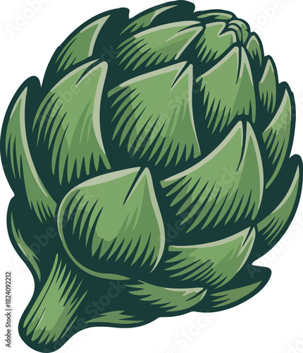 Green artichoke vector showing a fresh healthy vegetable bud commonly used in culinary dishes and healthy eating