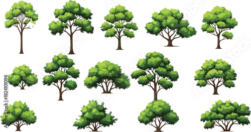 Collection of various green deciduous trees and bushes vector set isolated on white for nature landscape design.