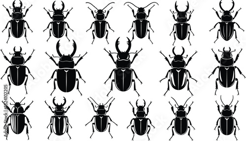Set of beetle silhouettes, stag beetle, rhinoceros beetle, insect icons, bug vector illustration collection, nature wildlife design, isolated on white background, black shape