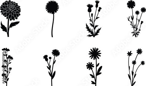 PrintFlower silhouette, black vector, floral shape, botanical design, petal structure, nature illustration, white background, graphic element, stem detail