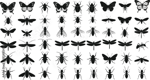 PrintInsect silhouette, bug collection, black vector, winged species, nature design, entomology art, white background, graphic illustration, biological diversity