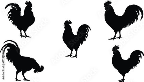 PrintRooster silhouette, black vector, poultry pose, farm animal, bird design, feather detail, rural theme, white background, graphic illustration