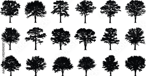 PrintTree silhouette, black vector, foliage shape, nature design, botanical illustration, species variety, forest element, white background, landscape reference