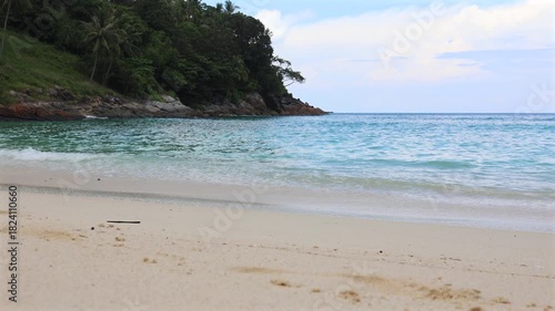 Tropical Beach Landscape featuring Clear Water and Lush Abundant Greenery.