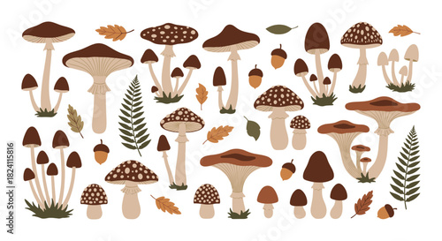 An enchanting array of diverse woodland mushrooms, acorns, and autumn leaves, capturing the essence of a natural forest environment.
