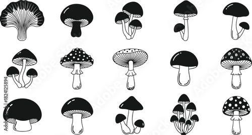 “Turkey silhouette vector collection featuring adult turkeys and chicks in various poses, farm bird 