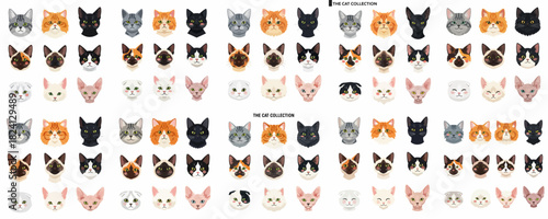A huge vector collection of diverse domestic cat breeds and kitten faces, including tabby, calico, Sphynx, and Siamese, isolated on white background.