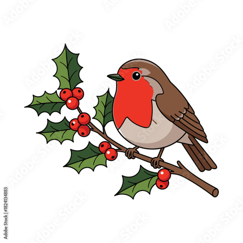 European robin perched on holly branch with red berries.