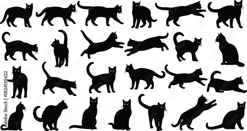 Fototapeta premium Mega Set of Black Cat Silhouettes Vector Collection - Domestic Kitty Poses, Walking, Sitting, and Jumping Pet Animal Icons