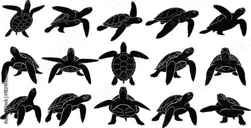 Sea turtle silhouette vector set. Collection of marine animals, loggerhead, green, and hawksbill wildlife in different swimming poses for icons.