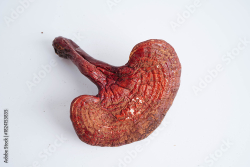 Lingzhi or Reishi mushroom with capsules, organic natural healthy food.