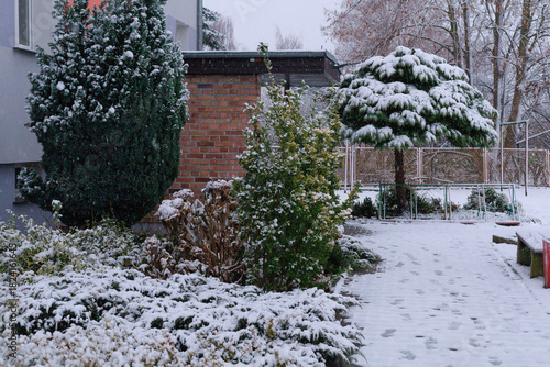 Snowy backyard in winter. Small backyard covered with snow, trees and bushes frozen in cold air. Concept of winter home environment, seasonal background, calm design, and nature stillness.