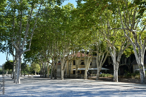 place avec des arbres